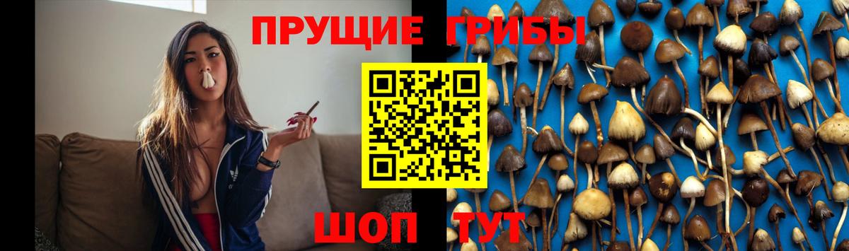 Урюпинск  Галлюциногенные грибы мухоморы  Вход с VPN 